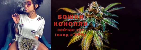 прущий лед Арсеньев